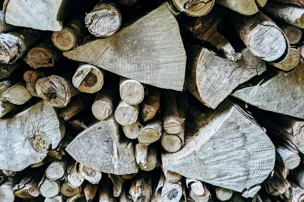 Cut logs stacked