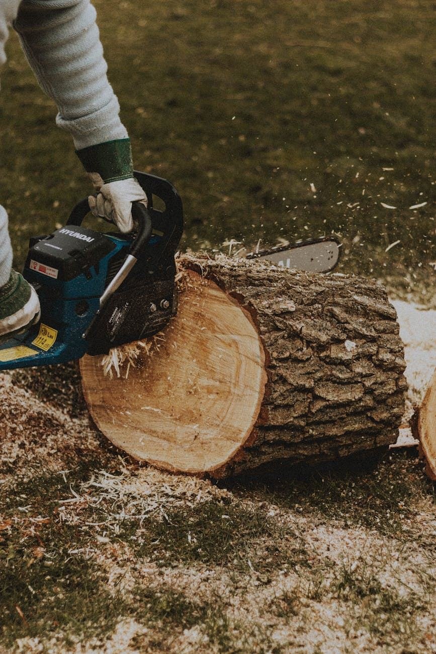 Chainsaw cutting through a log